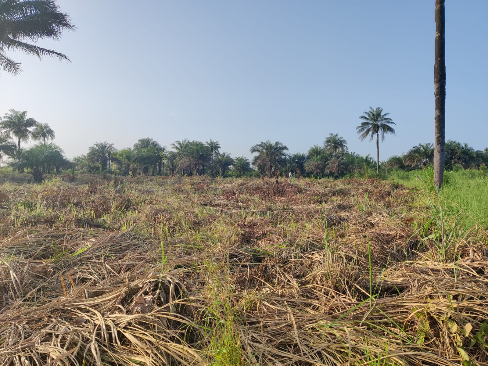 Op bezoek in Sierra Leone